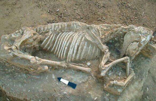 ��ʼ����ĸĹ���ֳ���Գ�ź� ��̫��Ĺ�еĳ���Գ��ʲô