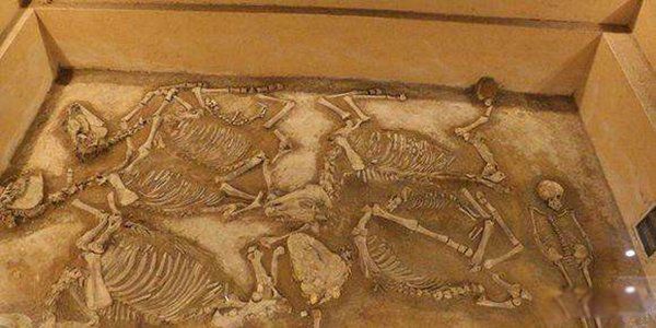 ��ʼ����ĸĹ���ֳ���Գ�ź� ��̫��Ĺ�еĳ���Գ��ʲô