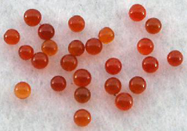 ��������ʲô������ѧ���� �����������ǽ�ʯ��