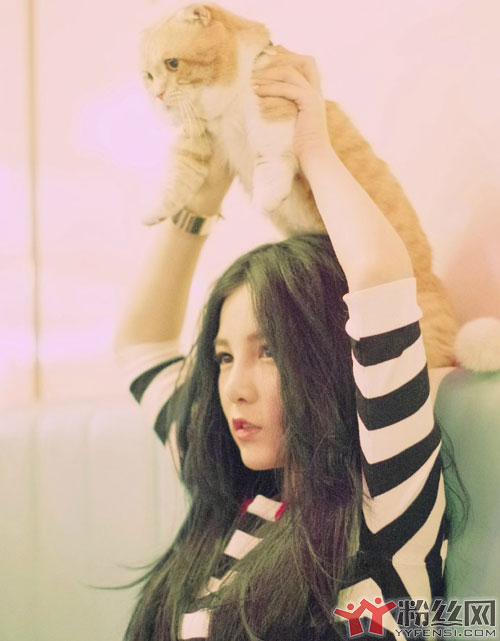 ����ɾ΢��,�������ֿ������ ����12.27��ɾ΢�������