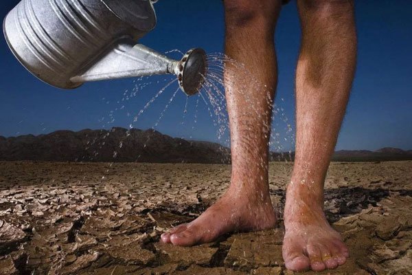 ��ʵ���ಢ������ �����������̬�����ʺ���������