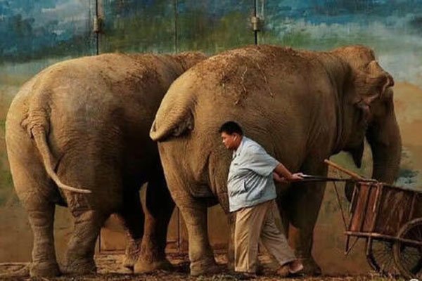 ��Խ�ڵ�����ı��� �͹��¸���ƽ����һ����һ��