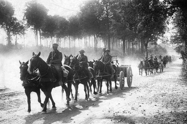 �й�925���ܲ�����ʲô ��˵�е�������֯�������