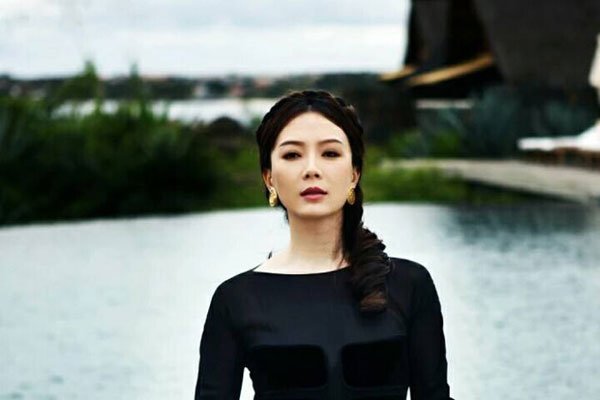 柳云龙陈数为什么离婚 钢琴家赵胤胤二婚怎么回事