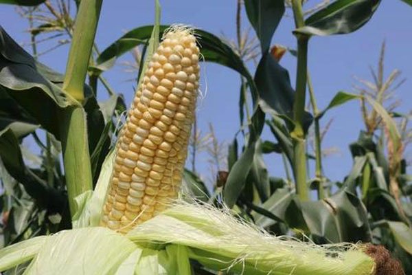 ��������ɶ��˼ �������Ʋ�඼��һ�ַ���