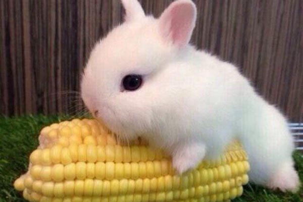 ��������ɶ��˼ �������Ʋ�඼��һ�ַ���