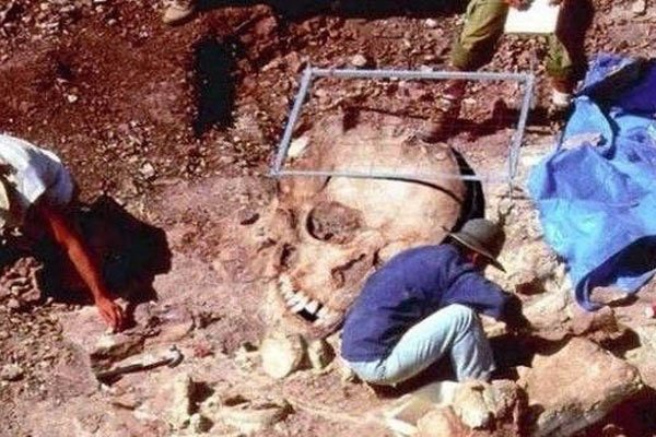 1979������ɽ�¼�������� �����������¼�������δ��֮��