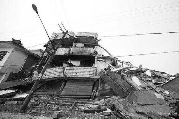 汶川地震出现巨兽 这种巨兽我们也见过不过没有这么大