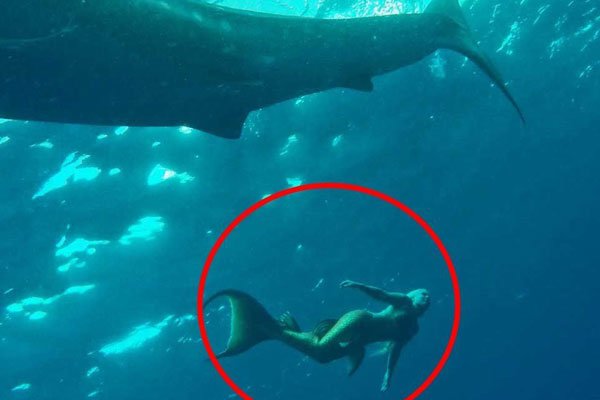 �Ŵ�������������ͼƬ ����֮���ǿ������ٵĶ�ҩ��