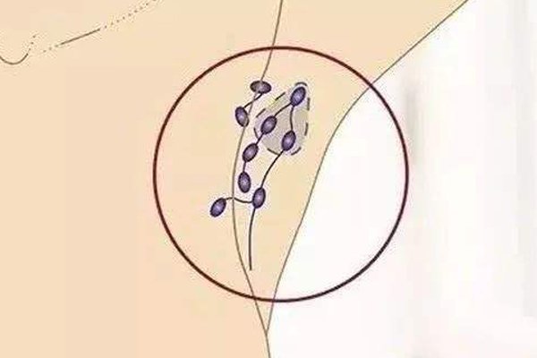 Ҹ�³��˸�С����ͼƬ ����������۵Ļ���������ά��