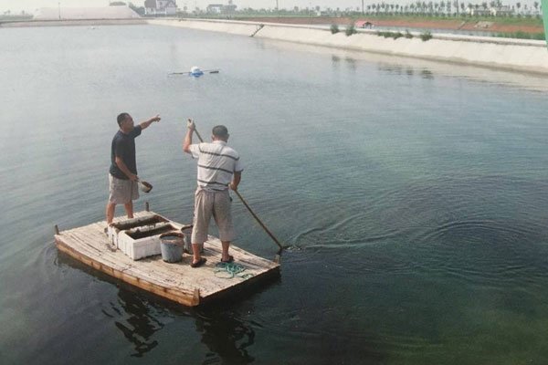 ������ĺ�����ʲô��˼ Ů�����㺣����ʲô��