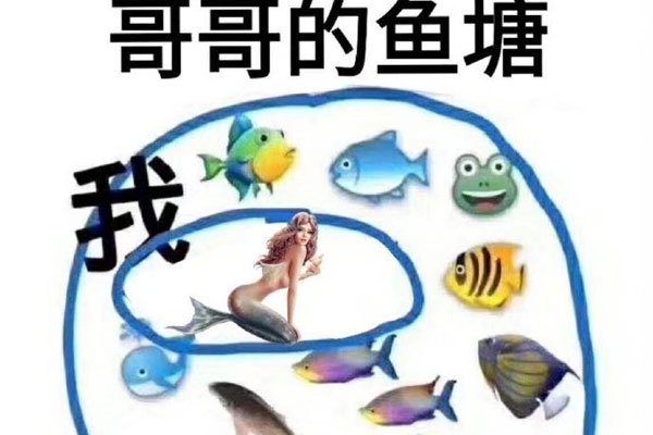 ������ĺ�����ʲô��˼ Ů�����㺣����ʲô��