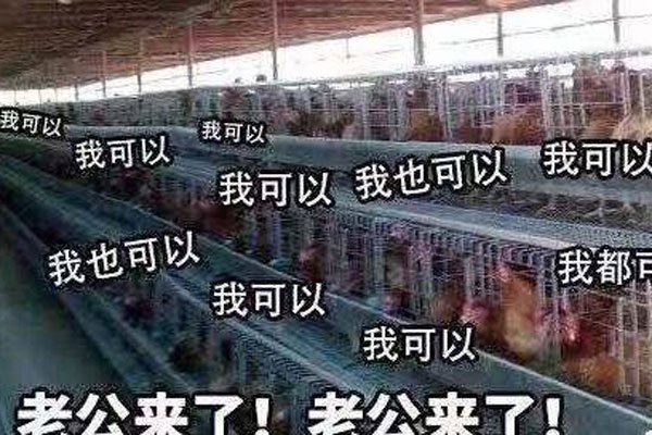 ��������ʲô��˼��ʲô�� ��˯��һ��Ϊɶ����˵