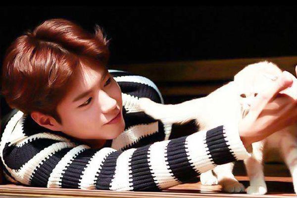 �ӱ��������軪 ����ֱ��ȡ������������Ϊ���ѵ���