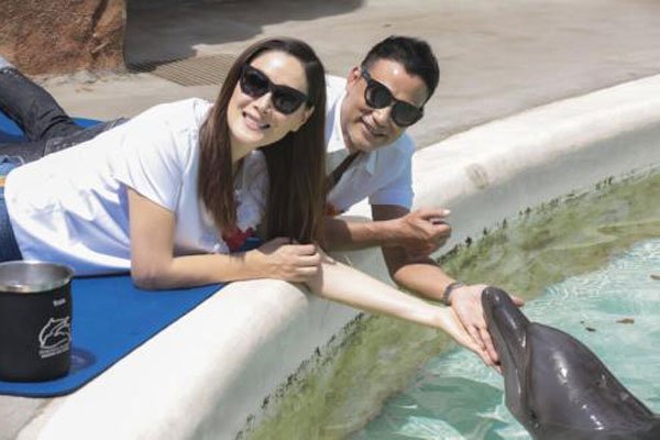 �δﻪ���ų�������� ���Ϲ���ǿ�����Ĳ���