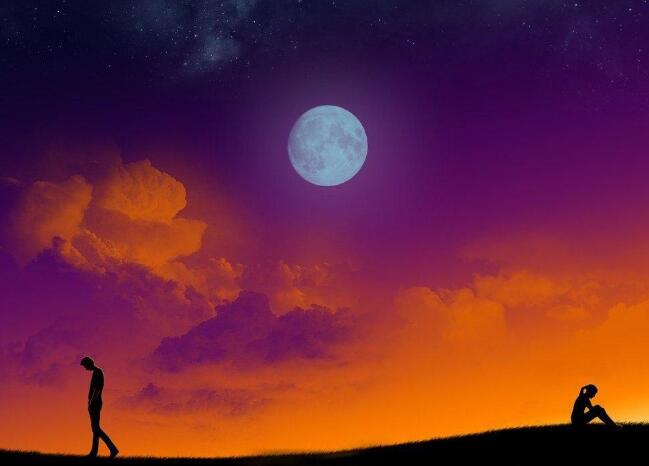 ʮ�����ŷ�Ծ��������ʵȫͼ�ع� ��ĸ�߷�����Ƶ���������Ǽ�