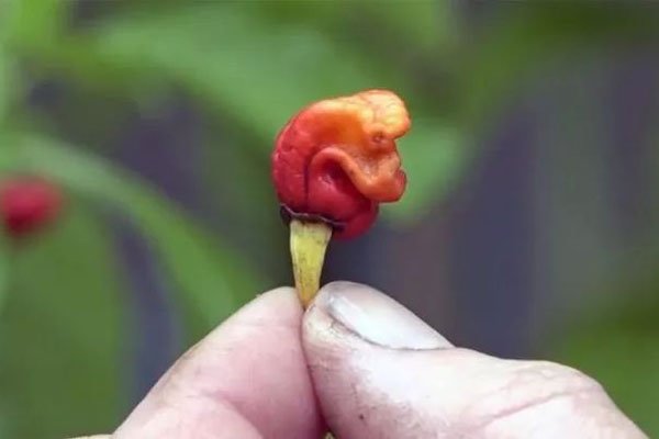 ����־�Թ���Ϣ������ ��һ�¾��ܲ��˵���������ȥ������