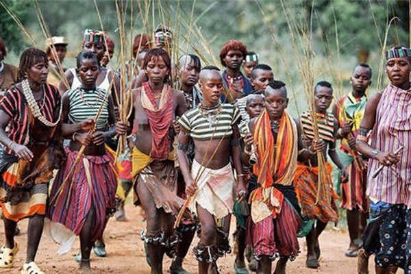 ����ԭʼ�����������¼Ƭ Ϊ�����������������þ���