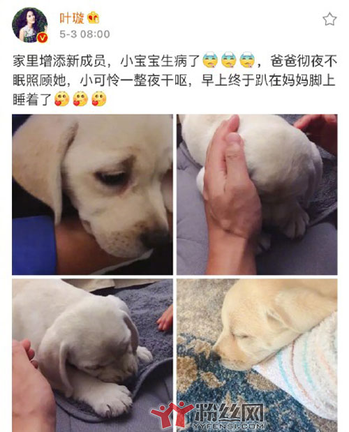 叶璇事件解读出什么事了 怀孕孩子爸爸是被传分手的小默先生吗