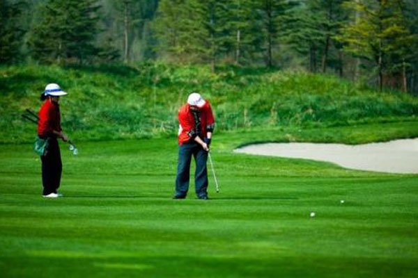 ����ʢ��ʲô���̸߶��� �����Ƽ��ؼ�����Ǯ