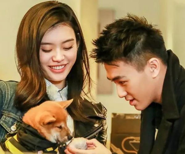 ������������������ս�Ŀ��ʲô �������ǲ�������������