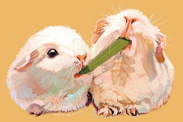 豚鼠实验什么意思 恐怖故事恶心到爆讲的什么