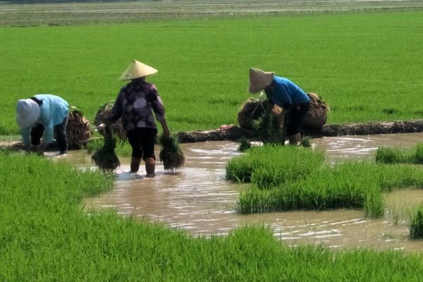 ũ�帾Ů10Ԫ1������� ���øɻ�һ����׬������