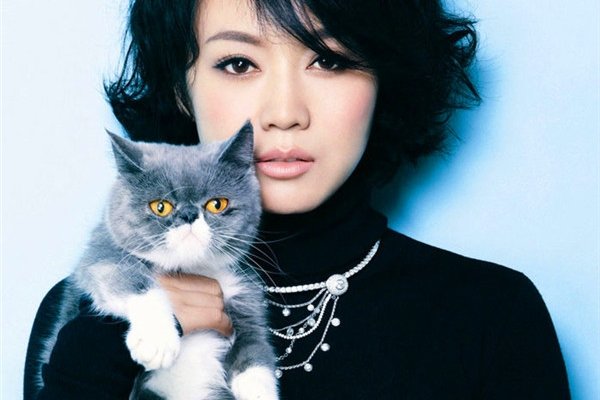 ���ݵĸ������ϼ���� ��������ô�����