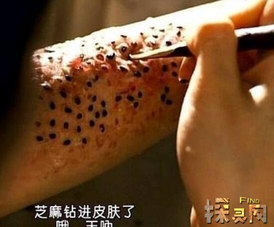 ֥��Ů��ԭͼ�ֲ� �Ǹ����������ڶ���������