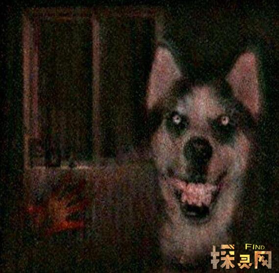 ΢Ц��smile.jpgԭͼ���� һ���˱߳Զ����߿����