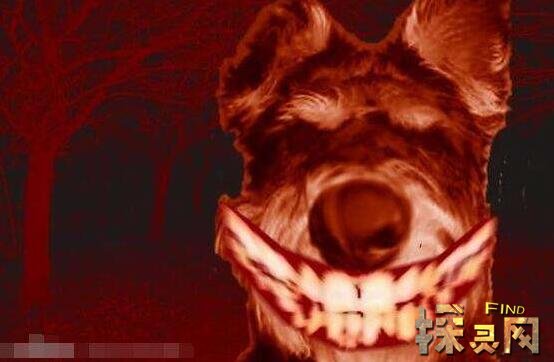 ΢Ц��smile.jpgԭͼ���� һ���˱߳Զ����߿����