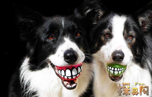 ΢Ц��smile.jpgԭͼ���� һ���˱߳Զ����߿����