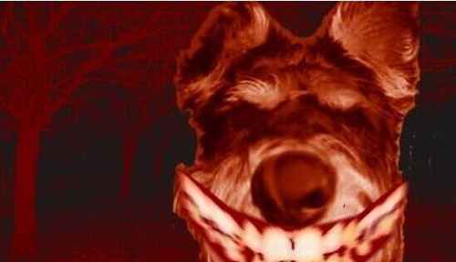 ΢Ц���ֲ�ԭͼ �Դӿ�������ͼƬ�þ�û��������