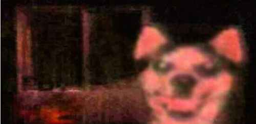 ΢Ц���ֲ�ԭͼ �Դӿ�������ͼƬ�þ�û��������