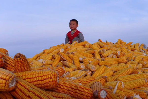 �����к��۳��ӿֲ�ͼƬ ����֥��Ů��ͼƬҲ�ֲܿ�