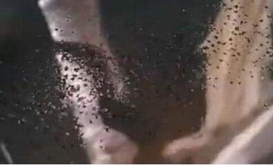 �����к�����֥��Ů��������Ƭ �ÿֲ���,���׵ÿ־�֢