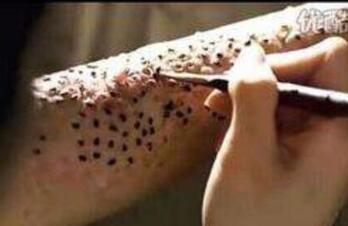 �����к�����֥��Ů��������Ƭ �ÿֲ���,���׵ÿ־�֢