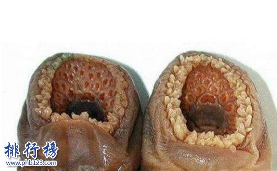 �տ�ָ��ʲô �����ĵ���ָ�ô�ҿ�������