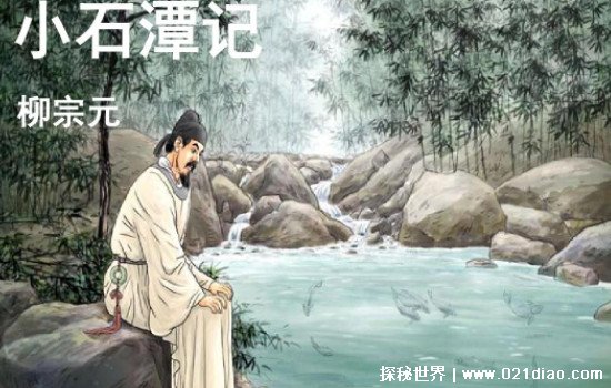 Сʯ̶�ǵĿֲ�������ʲô ����ʲô���¶����Ա�ɹ�����