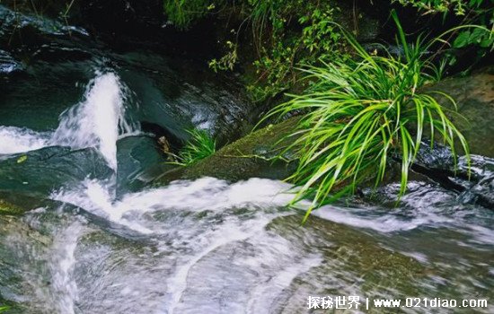 小石潭记的恐怖真相是什么 反正什么故事都可以变成鬼故事