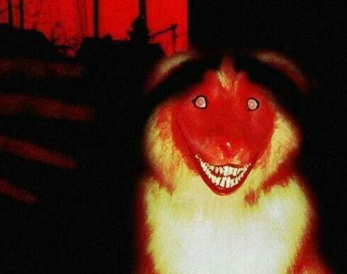 smile dog�ֲ�ԭͼ 1990���ʿ��΢Ц�¼�