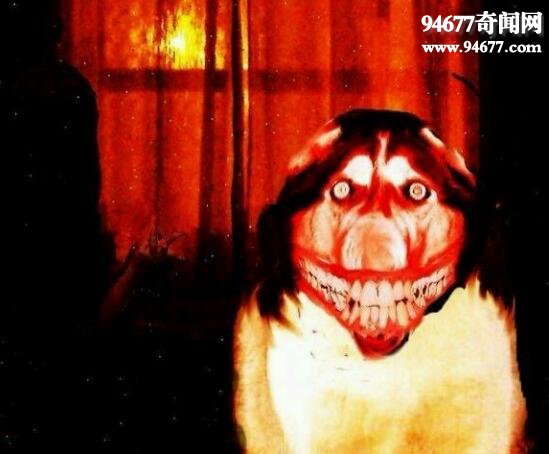 smiledog�ֲ���ԭ�� Ц�ݺܹ���Ĺ������տֲ�