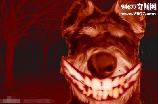 smiledog�ֲ���ԭ�� Ц�ݺܹ���Ĺ������տֲ�