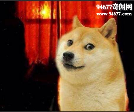 smiledog�ֲ���ԭ�� Ц�ݺܹ���Ĺ������տֲ�