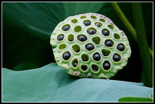 ��������ʲô����? һ�ſŵ�������������ֲܿ�