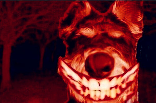 ΢Ц��ԭ�������˶����� Ц�湷�¼����˶�����