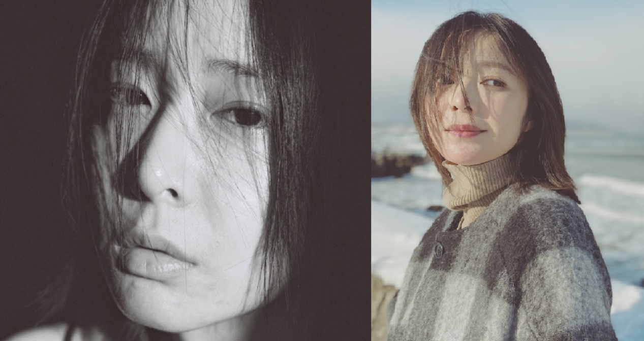 ��Ҷ�������ϼ�鼸���� ��ϣ�¸�Ҷ̫������һ������