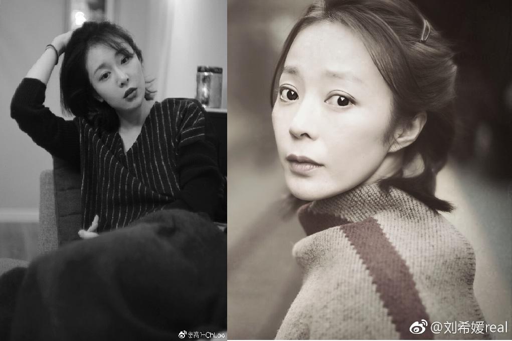 ��Ҷ�������ϼ�鼸���� ��ϣ�¸�Ҷ̫������һ������