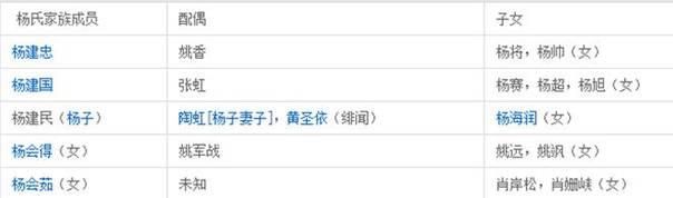 黄圣依老公杨子个人资料简介及家世 巨力集团董事长与杨子的关系