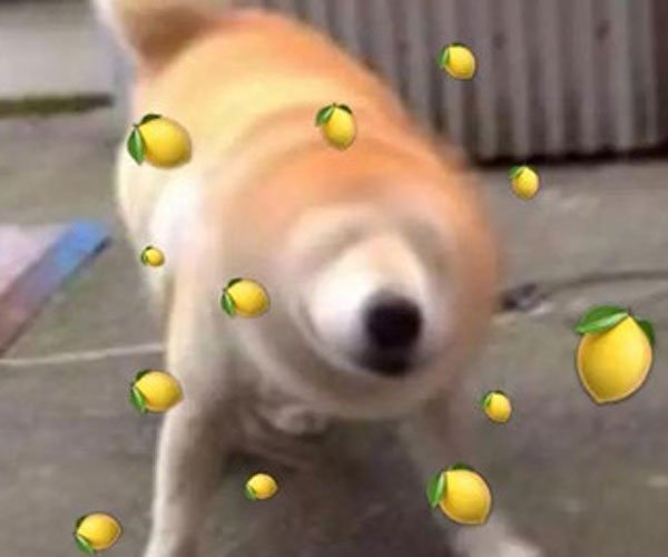 ���ɻ���ɶ��˼? ��Ů֮��˵���ɻ���ʲô��˼(�۵����ܿ�)